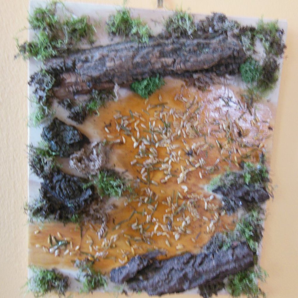 Moss & Bark Original Artwork
